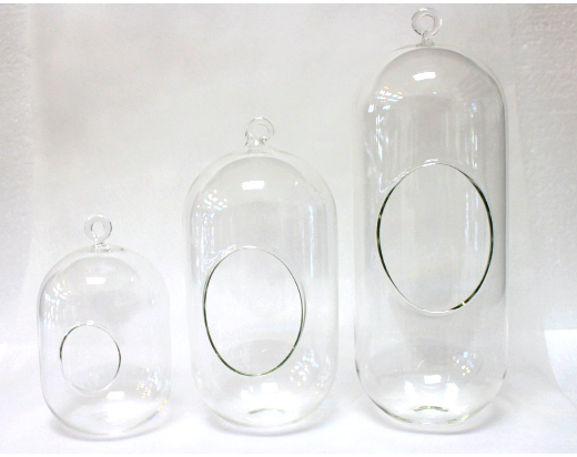 ขวดโหลแก้ว,โดมแก้ว,แก้วแขวน,สวนขวดแก้ว,Terrarium,โถแก้ว,แจกันแก้ว,terrarium,สวนในขวด,สวนในขวดแก้ว,ขวดแก้ว,ขายส่ง,ขายส่งขวดแก้ว