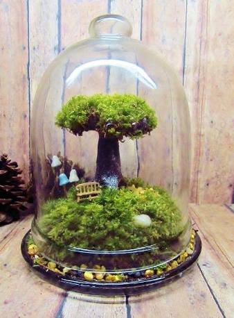 terrarium,สวนในขวด,สวนในขวดแก้ว,ขวดแก้ว,ขายส่ง,ขายส่งขวดแก้ว