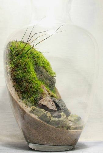 terrarium,สวนในขวด,สวนในขวดแก้ว,ขวดแก้ว,ขายส่ง,ขายส่งขวดแก้ว