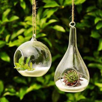 terrarium,สวนในขวด,สวนในขวดแก้ว,ขวดแก้ว,ขายส่ง,ขายส่งขวดแก้ว