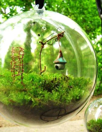 terrarium,สวนในขวด,สวนในขวดแก้ว,ขวดแก้ว,ขายส่ง,ขายส่งขวดแก้ว