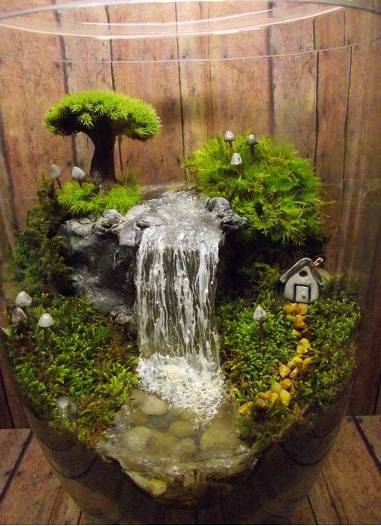 terrarium,สวนในขวด,สวนในขวดแก้ว,ขวดแก้ว,ขายส่ง,ขายส่งขวดแก้ว