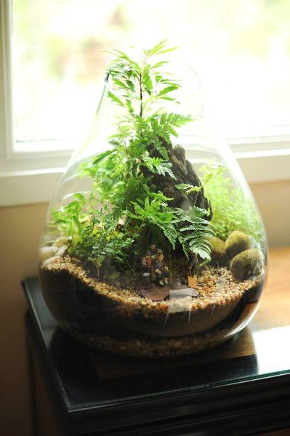 terrarium,สวนในขวด,สวนในขวดแก้ว,ขวดแก้ว,ขายส่ง,ขายส่งขวดแก้ว