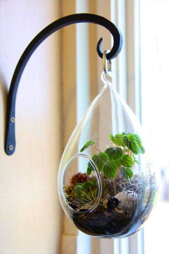 terrarium,สวนในขวด,สวนในขวดแก้ว,ขวดแก้ว,ขายส่ง,ขายส่งขวดแก้ว