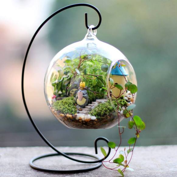 terrarium,สวนในขวด,สวนในขวดแก้ว,ขวดแก้ว,ขายส่ง,ขายส่งขวดแก้ว